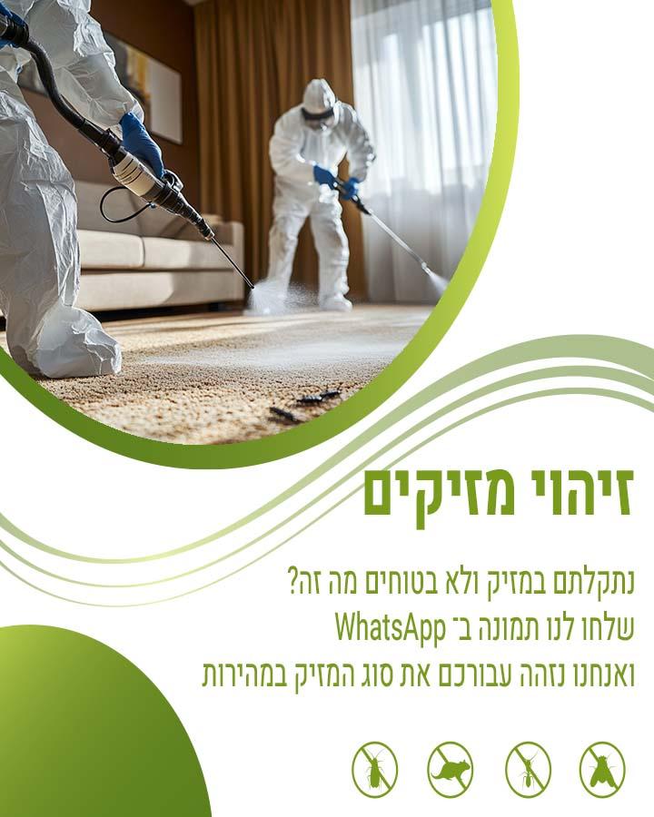 ריסוס לבית ברמת השרון