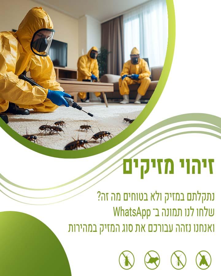 ריסוס לבית בתל אביב