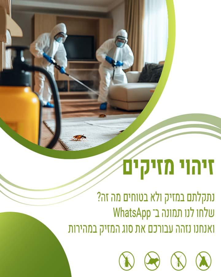 ריסוס לבית המלצות