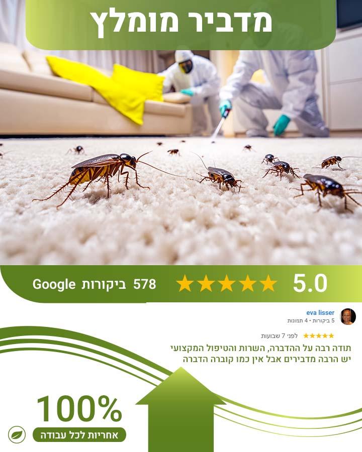 ריסוס לבית מחיר