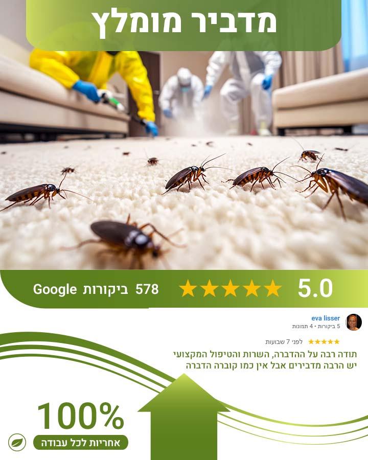 ריסוס לפני אירוע