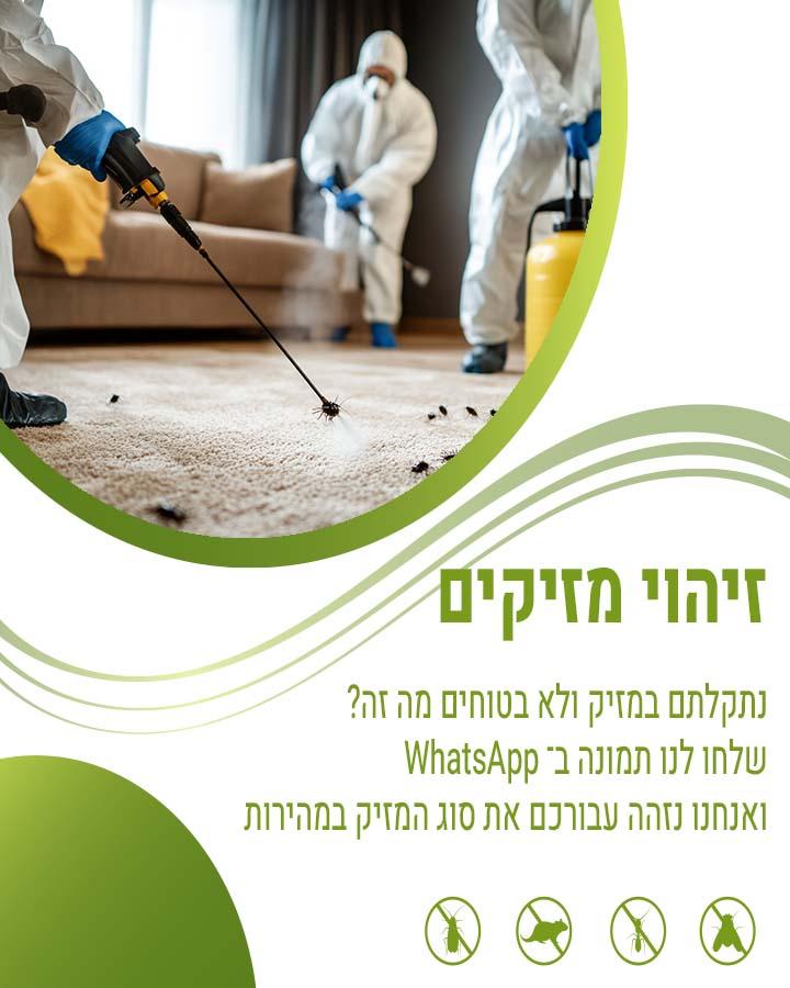 תיקן אמריקאי