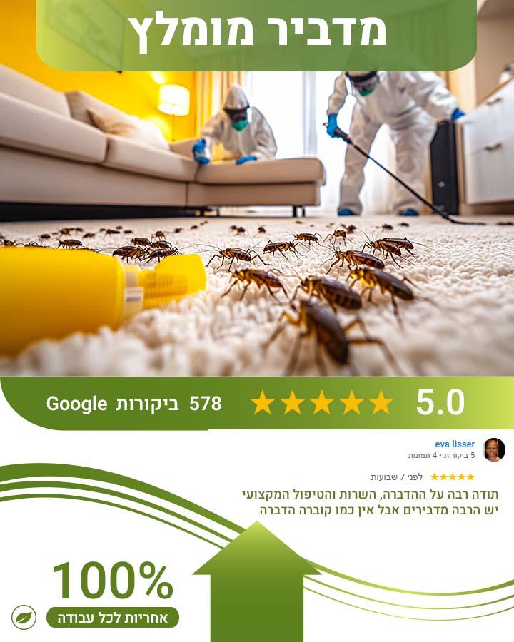 תיקן אמריקאי