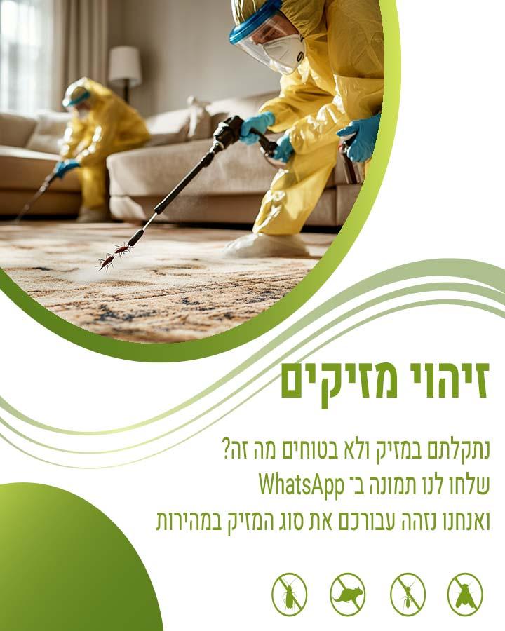 תיקן מזרחי